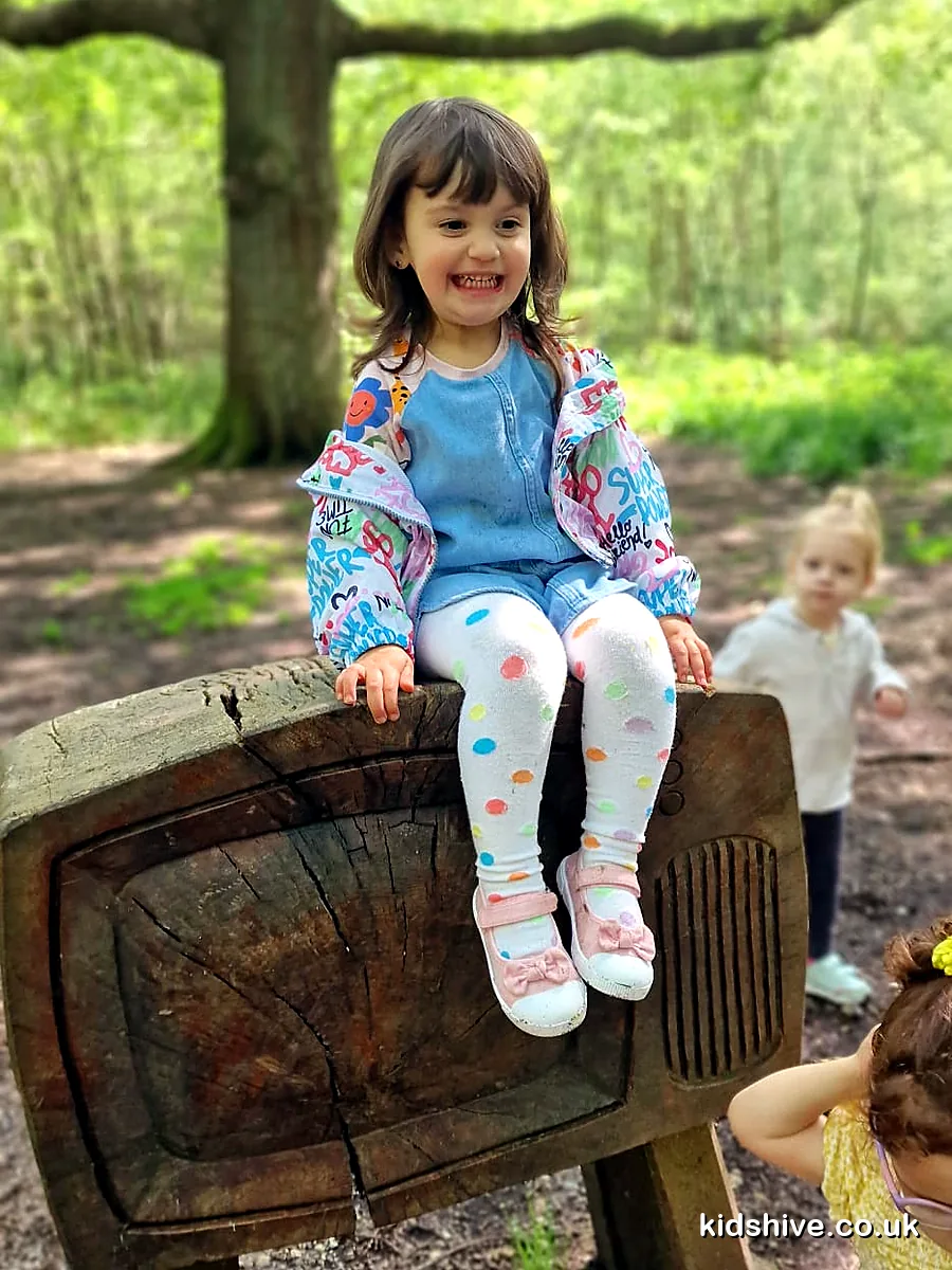 Exploring the woods